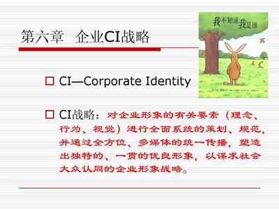 企业CI战略与企业形象策划