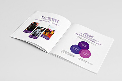 安娜品牌形象色彩画册设计 - 深圳市顶点企业形象策划专业设计服务