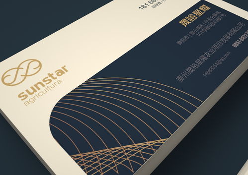 晟裕星耀企业形象设计 专业设计服务铸就品牌卓越